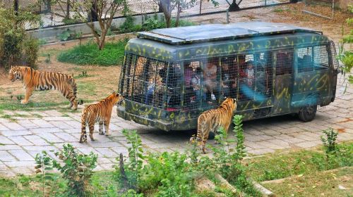 Shenzhen Safari Park