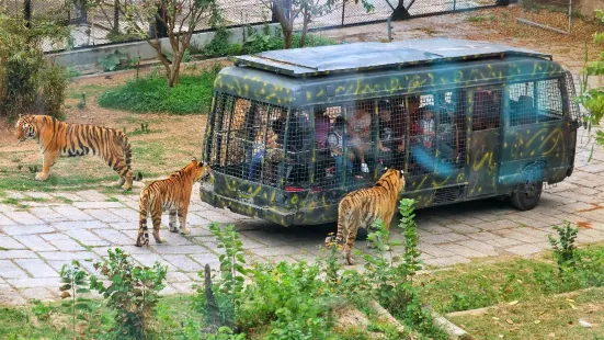 深セン野生動物園