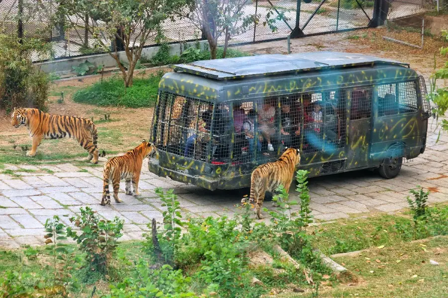 Shenzhen Safari Park