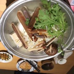 Shiki User Photo