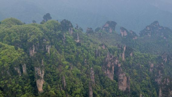 4 days in Zhangjiajie and Fenghuang Ancient Town: Zhangjiajie National Forest Park, Tianmen Mountain, Fenghuang Ancient Town