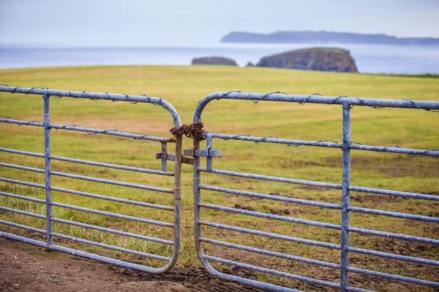 Ballintoy Harbour