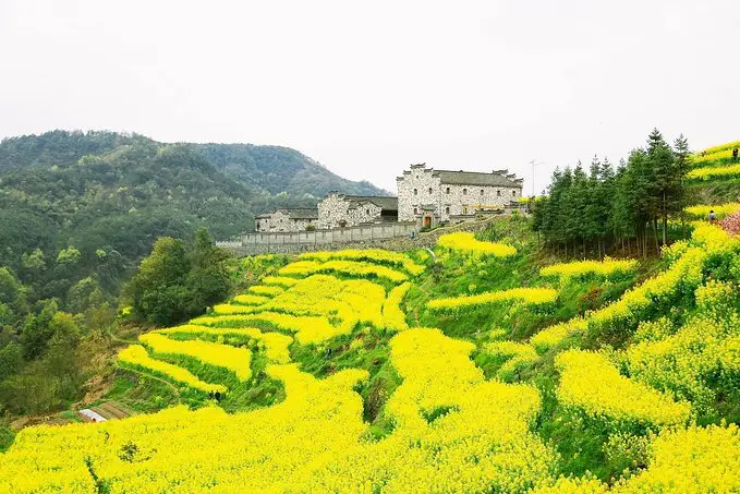 Luoyuan Village