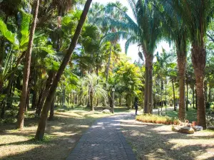 中国科学院華南植物園