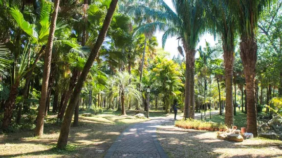 中國科學院華南國家植物園