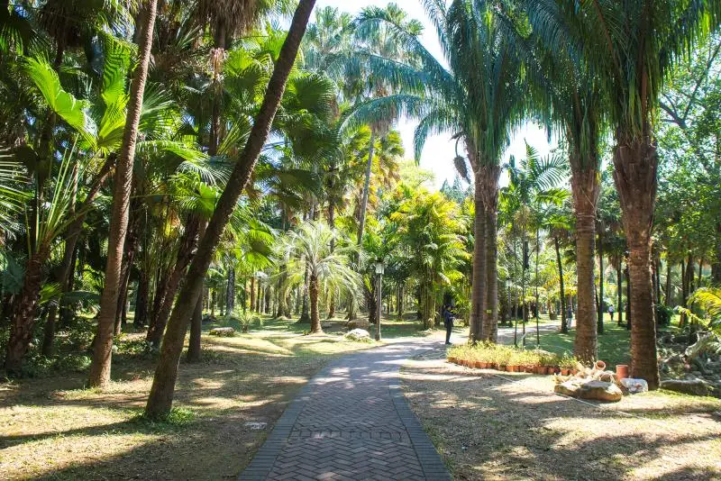 South China Botanical,Chinese Academy of Sciences