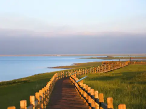 Bird Island of Qinghai Lake