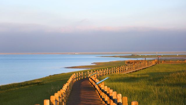 Bird Island of Qinghai Lake