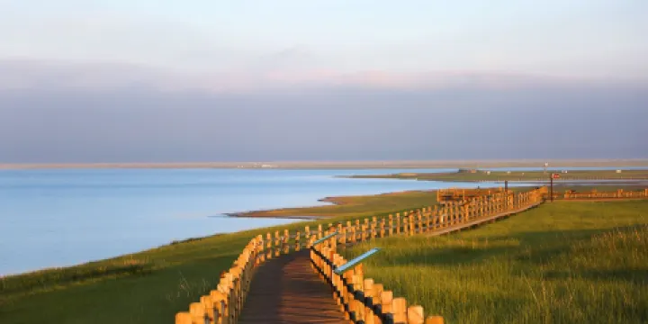 青海湖-鳥島景區