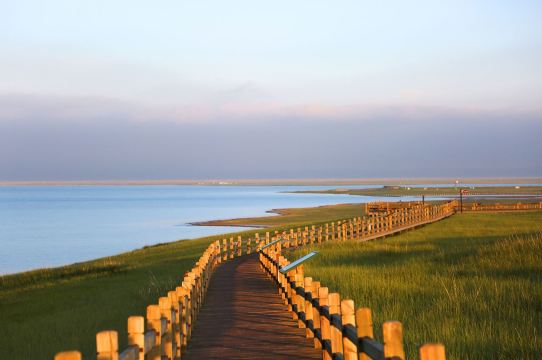 Qinghai Lake - Bird Island Scenic Area (Not open to the public)
