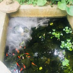 HARMONY GARDEN User Photo