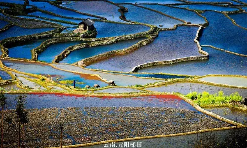 Yuanyang Hani Terrace