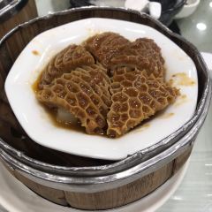 Phoenix House User Photo