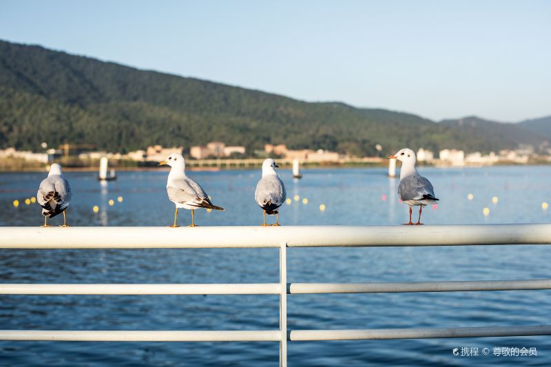 海埂公園