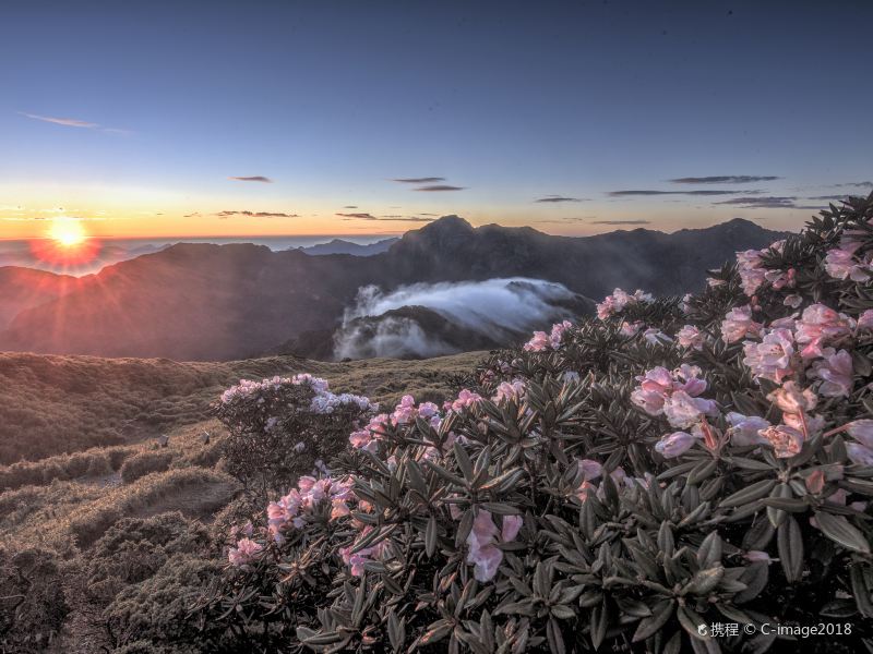 合歡山