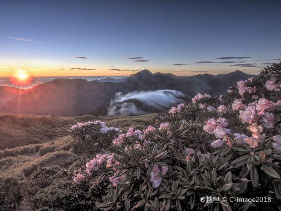 合歡山