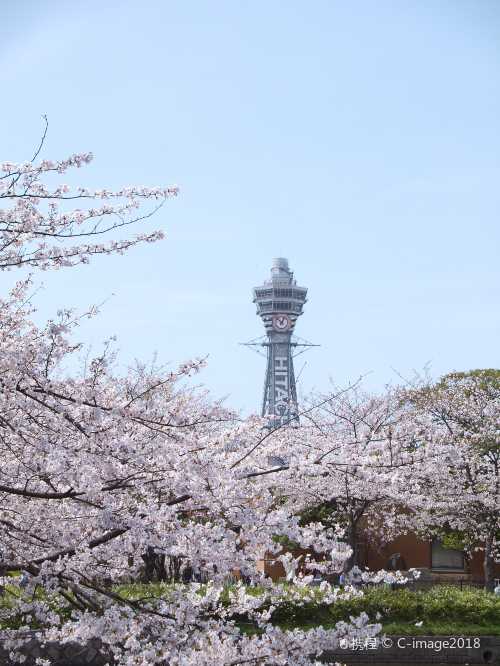 大阪城公園+黑門市場+心齋橋+道頓堀+通天閣+大阪溫泉大世界一日遊