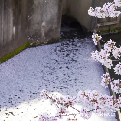 鄰近Asamushi Hachimangu的酒店