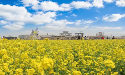 Red Sorghum Movie and Television Base