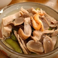 Song helou User Photo