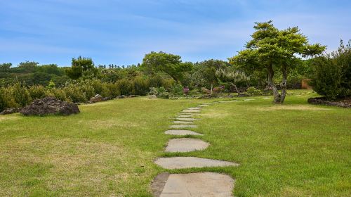 Camellia Hill Botanical Garden