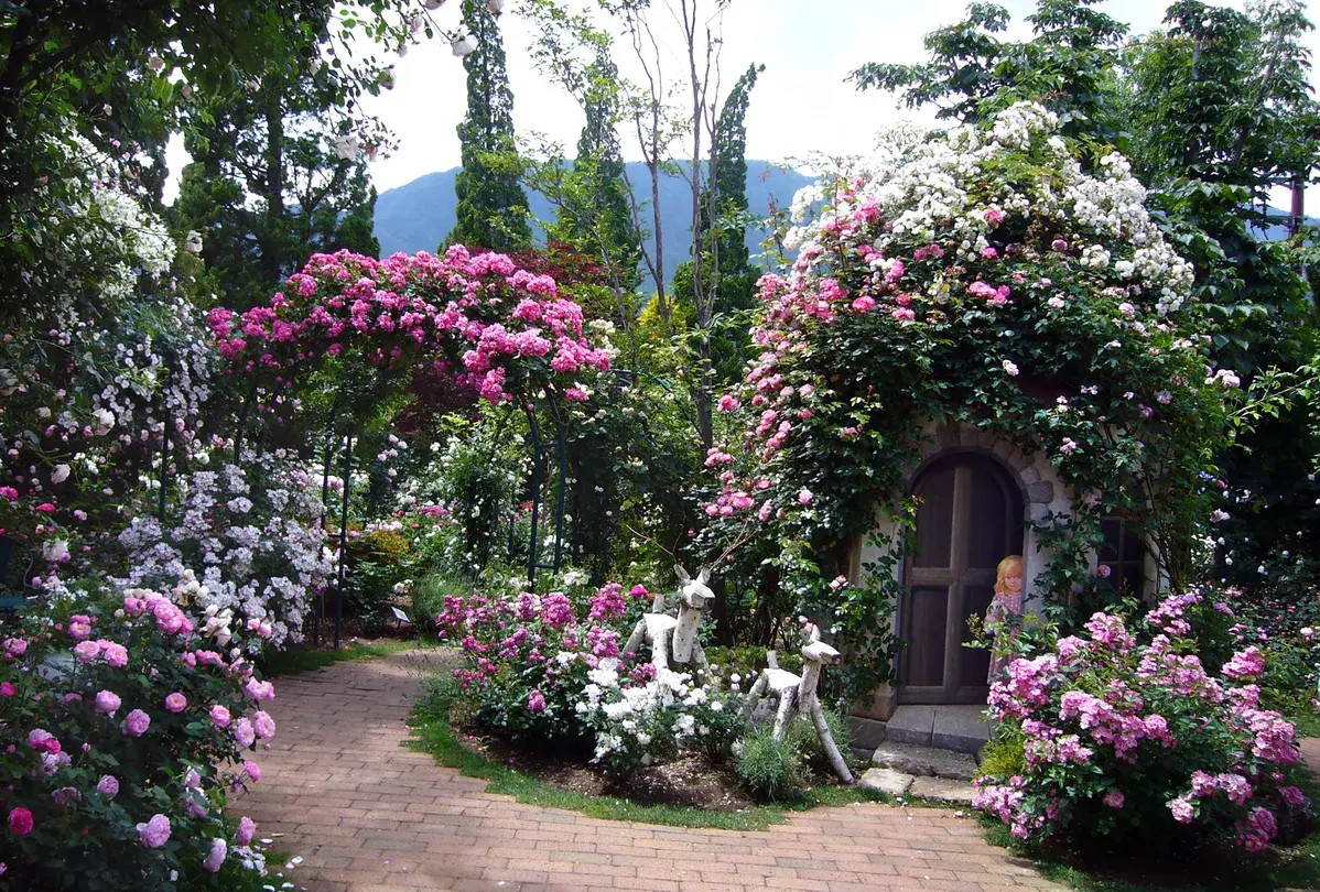 5_河口湖音樂盒之森美術館