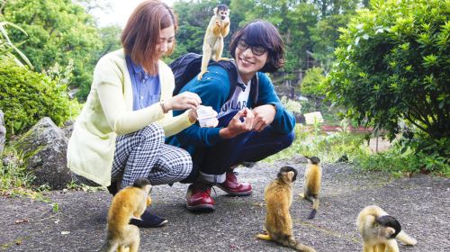 伊豆シャボテン動物公園