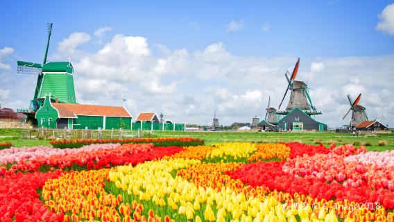 荷蘭阿姆斯特丹贊瑟斯漢斯+荷蘭國立博物館+運河遊船風車+遊船