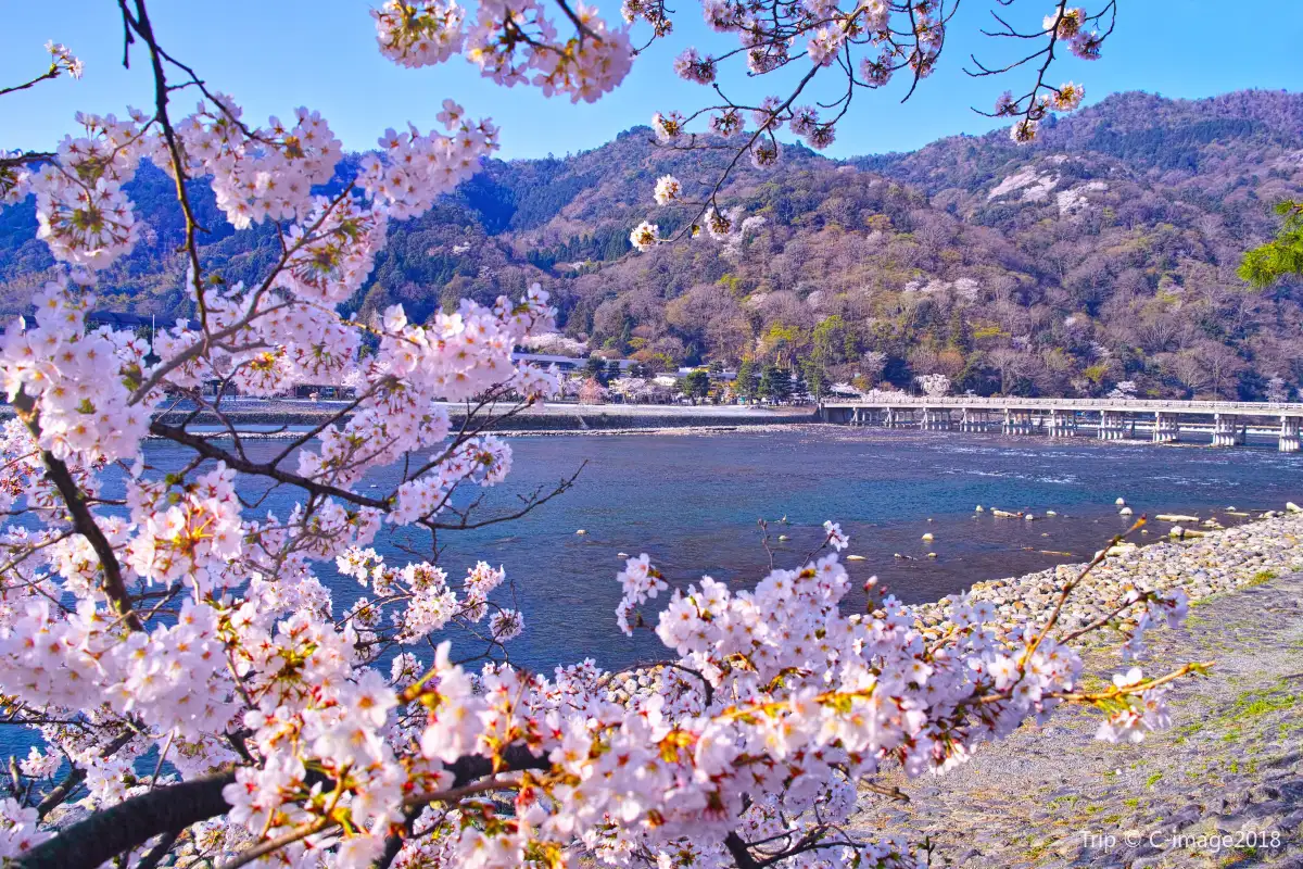 Arashiyama