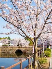 Castello di Odawara