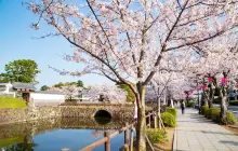 Odawara Castle