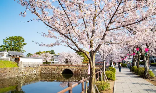 Odawara Castle