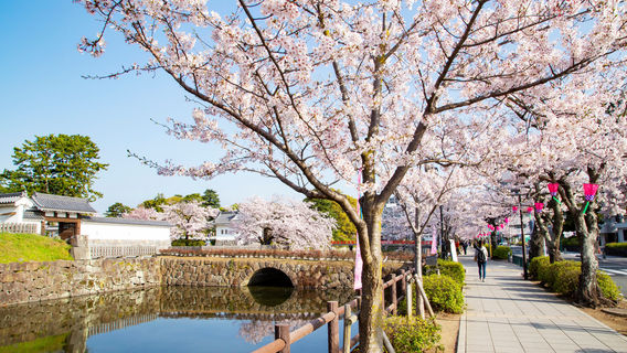 小田原城