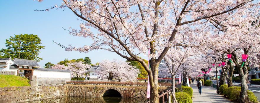 小田原市