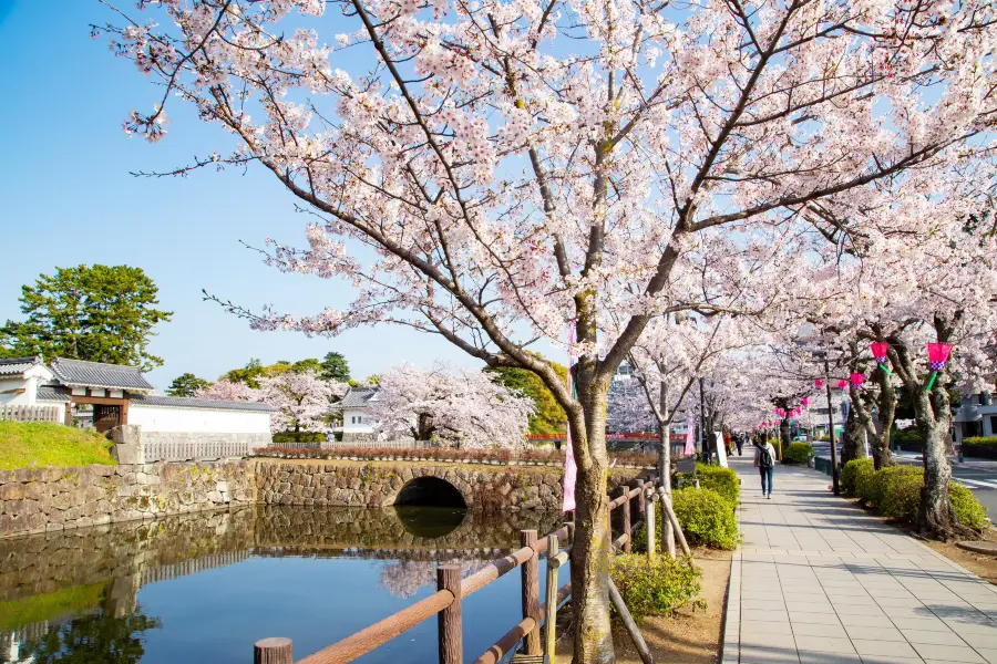 Odawara Castle