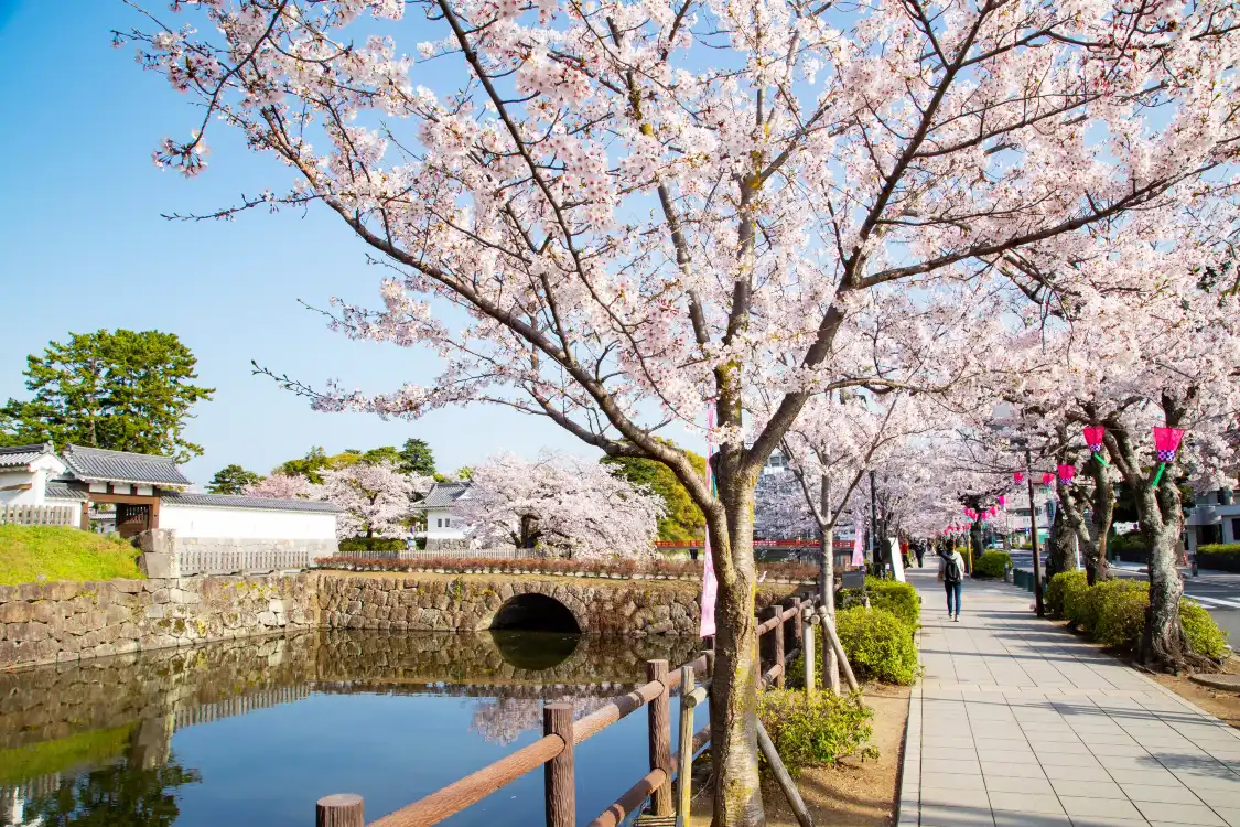 Hotels near Odawara Castle
