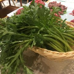 壹鼎鲜全牛火锅(永嘉天地店) User Photo