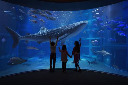 日本+大阪城公園+大阪城天守閣+道頓堀+梅田藍天大廈+大阪海遊館一日遊