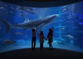 พิพิธภัณฑ์สัตว์น้ำไคยูกัง