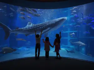 พิพิธภัณฑ์สัตว์น้ำไคยูกัง