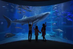 Osaka Aquarium Kaiyukan