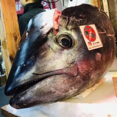 Seafood market Nagasakiko Dejima wharf User Photo