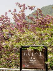 Arashiyama