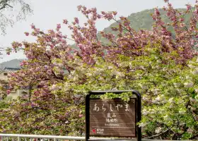 Objek Wisata Arashiyama