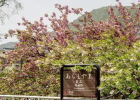 Arashiyama