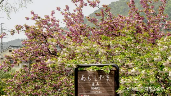 Arashiyama