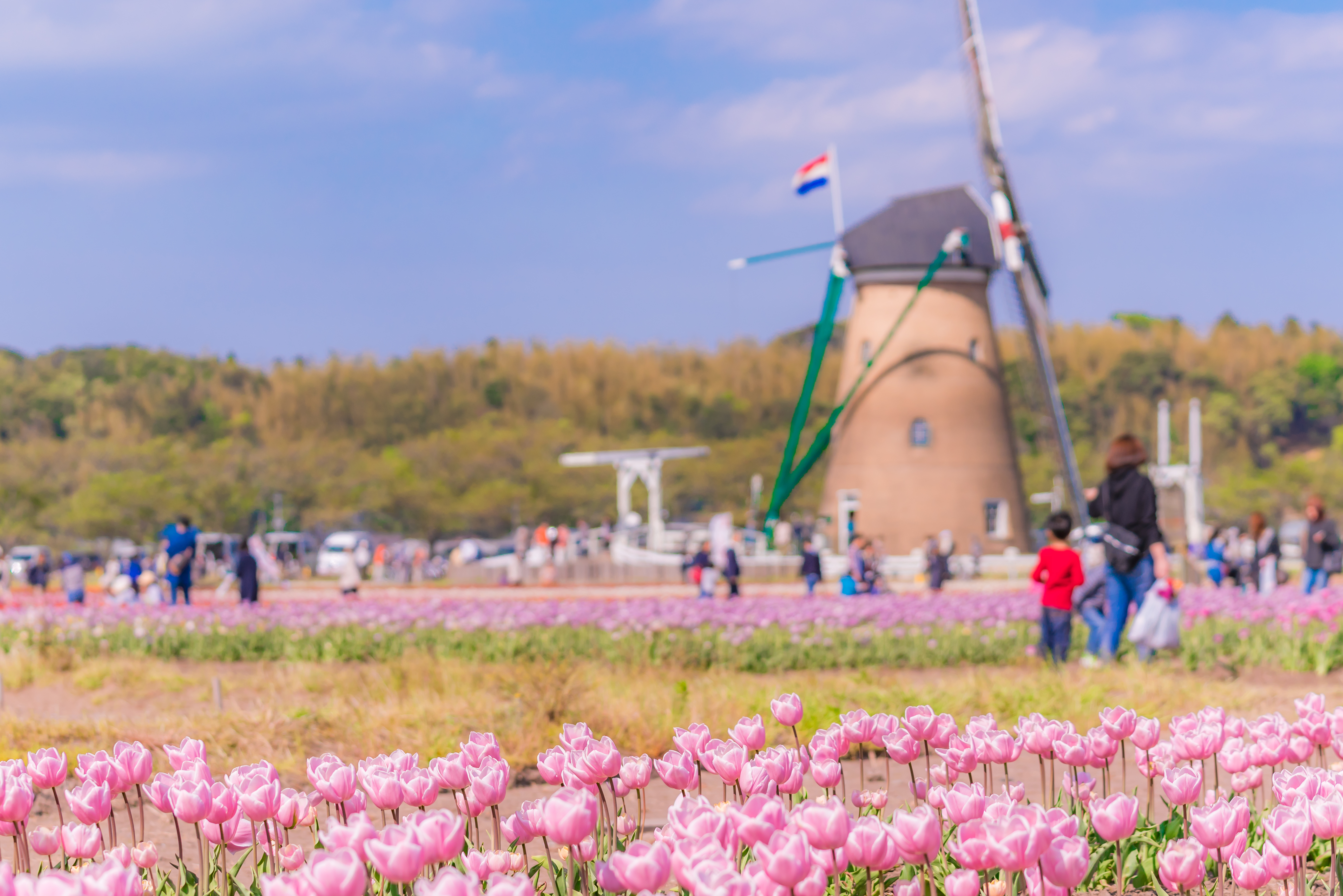 2025 Chiba Travel Guide: Must-see attractions, popular food, hotels, transportation routes (updated in July)