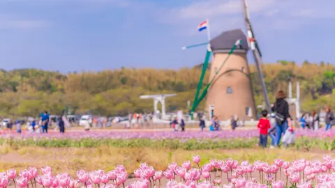 Chiba City travel destination