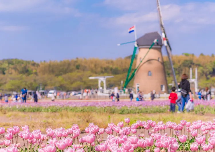 千葉の天気、千葉の気温ガイド、旅のベストシーズン、服装のおすすめ