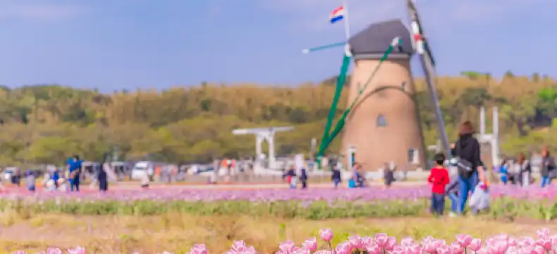 โรงแรมในชิบะ